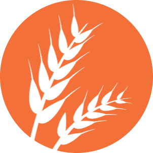 gluten