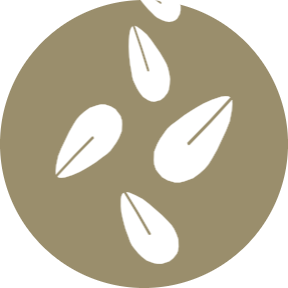 sesamo